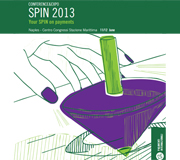 SPIN 2013
